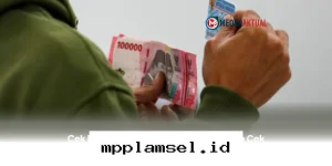 Cara Mudah Mengetahui Status Desil PKH dan BPNT Lewat HP di Tahun 2026