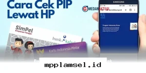 Cara Mudah Cek Status dan Jadwal Pencairan Dana PIP 2026 Lewat HP!