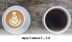 Pilihan Biji Kopi Favorit yang Wajib Kamu Coba Sekarang!